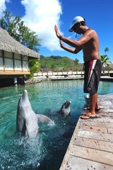 Trainer and Dolphins Moorea Dolphin center Polynesia