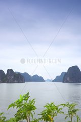 Karst islands in Halong Bay Vietnam