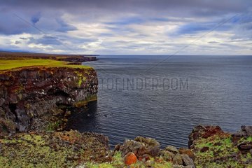 Cliffs near Arnarstapi - Snaefellsnes Peninsula Iceland