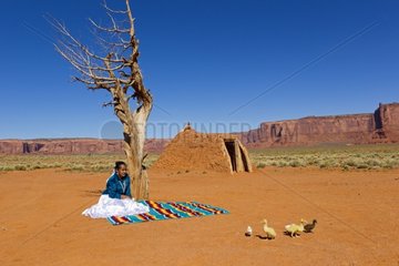 Navajo and Hogan Monument Valley Tribal Park Arizona
