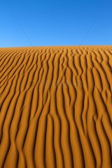 Ripple mark on dune Monument Valley Tribal Park Arizona USA