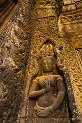 Ta Phrom temple at Angkor in Cambodia