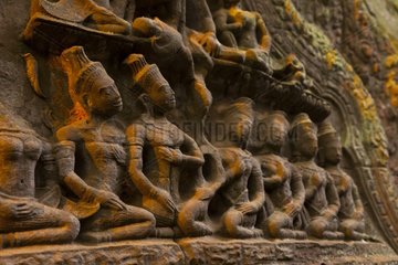 Ta Phrom temple at Angkor in Cambodia