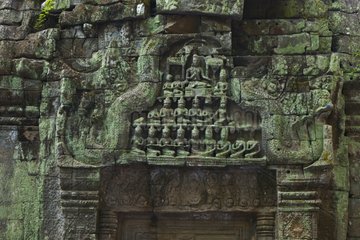 Ta Phrom Temple at Angkor in Cambodia