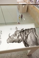 Museum of Human Evolution Burgos Spain