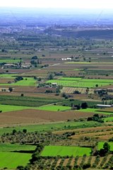 Agricultural landscape Noguera Catalonia Spain