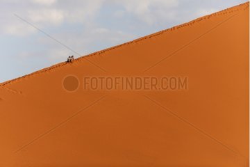 Tourists on a sand dune in Namib Desert Namibia