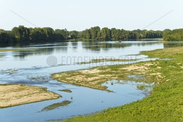Lower level of the Loire upstream Orleans summer France