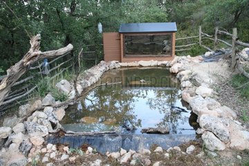 Hut serving as lookout for wildlife photography Catalonia