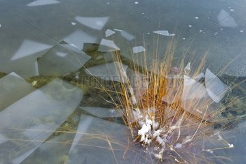 Broken ice on the surface of NP Plitvice lakes Croatia