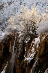 Cascade in winter NP Plitvice Lakes Croatia