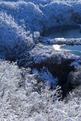Snowy forest and lakes in winter Plitvice Lakes NP Croatia