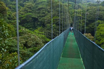 Suspended walkway Cloud forest Monteverde Reserve Costa Rica
