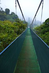 Suspended walkway Cloud forest Monteverde Reserve Costa Rica