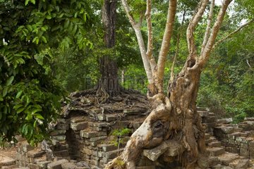 Spean Thma old stone bridge at Angkor in Cambodia