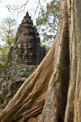 Victory Gate at Angkor in Cambodia