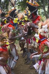 Huli Wigmen from the Tari Valley at a Sing-sing PNF