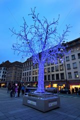 Christmas tree lit in Strasbourg Alsace France