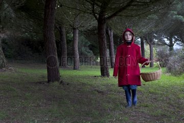 Little Red Riding Hood on a forest road Britain France