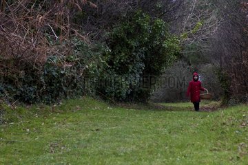 Little Red Riding Hood on a forest road Britain France