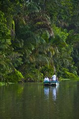 Tourism on the Tortuguero River PN Tortuguero Costa Rica