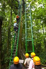 Canopy trail PN Tortuguero Costa Rica