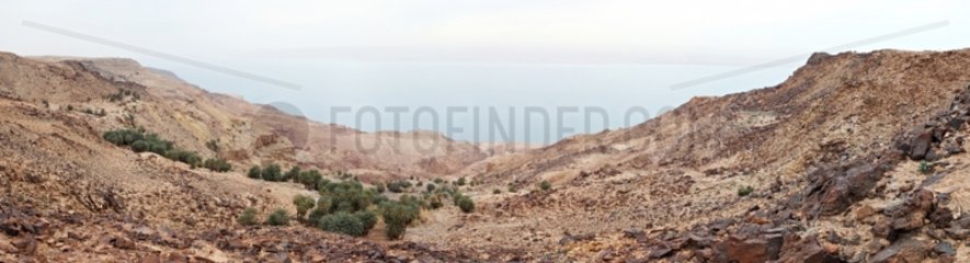 Landscape oasis in the desert to the Dead Sea Jordan