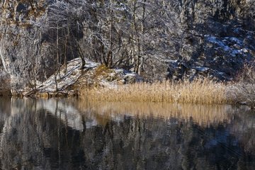 Snowy bank in winter Plitvice Lakes NP Croatia