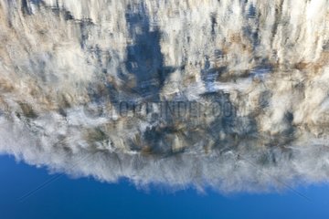 Reflection on the surface of a lake in winter Plitvice Lakes