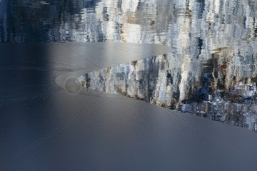 Reflection on the surface of a lake in winter Plitvice Lakes