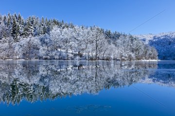 Snowy forest and lake in winter Plitvice Lakes NP Croatia