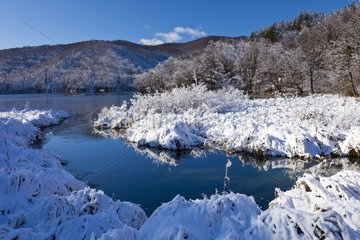 Snowy bank and lake in winter Plitvice Lakes NP Croatia
