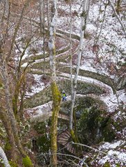 Road and bridge in forest in winter Plitvice Lakes Croatia