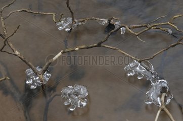 Branches with stars of ice in a frozen waterfall France