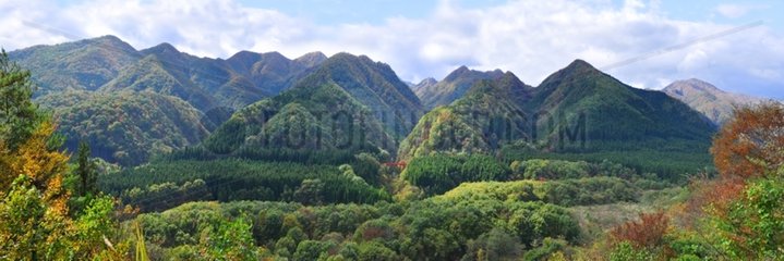 Okunikkawa valley in autumn Japon