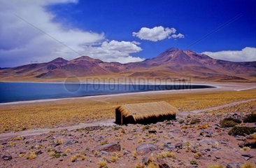 Lake Miscanti -Gebiet der Anden Atacama Chile