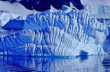 Iceberg near Argentine Islands Antarctic Peninsula