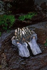 Bronze hands in a source Pyrenees Spain