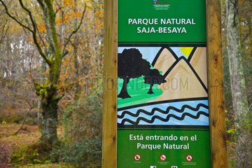 Saja-Besaya Natural Park in Cantabria Spain