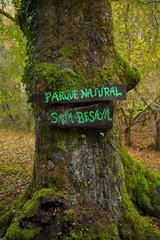 Saja-Besaya Natural Park in Cantabria Spain