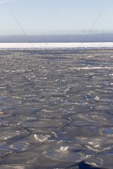 Formation of ice in the lagoon - Barter Island Alaska