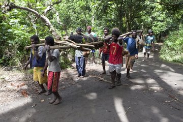 Men carrying a pig - Tanna Island Vanuatu