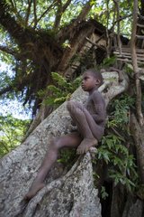 Child sitting in a tree - Tanna Island Vanuatu