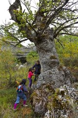 Children and Oak Hoces del Alto Ebro y Rudrón NP Spain