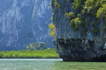 Cliffs in the Phang Nga Bay in Andaman Sea Thailand