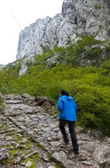 Paklenica NP Velebit Range Dalmatia Region Croatia