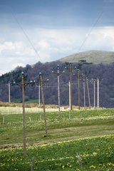 Electrical line in mountain PNR Auvergne Volcanoes France