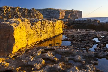 Eroded shoreline Fungus Rock Malta Gozo