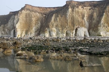 Shore and cliffs at low tide Normandy France