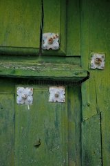 Old door detail at Pesquera de Ebro Spain